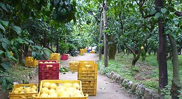 Agriturismo Il Giardino di Vigliano