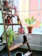 Vibrant Spacious Apartment In West End