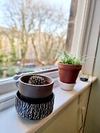 Vibrant Spacious Apartment In West End