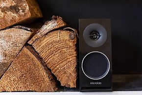 Vibrant Spacious Apartment In West End