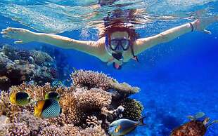 Oimho Beach House Apartment Beach Front