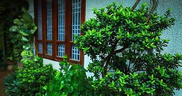 Nutshell Airport Retreat by the Sea