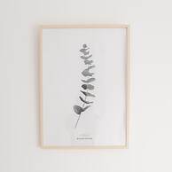 Gibralfaro Premium Center