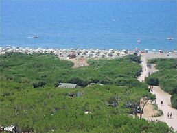 Happy Camp in Camping Village California