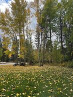 Flying Dutchman 1117