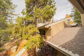 Flying Dutchman 1117