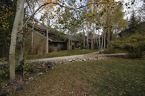 Flying Dutchman 1117