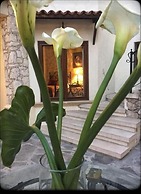 Hotel Boutique Rancho San Jorge