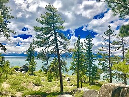 Month A Month Mv19 Willow