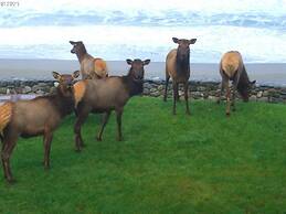 Lx28: Gold Beach Oceanfront Estate