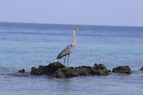 Rasdhoo Wave Blue