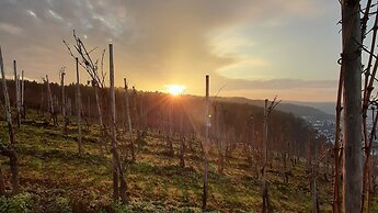 Holiday Inn Express Trier by IHG