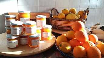 L'Aranceto Sorrentino Residence