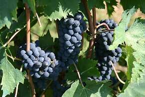 Agriturismo Podere La Cava