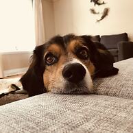 Wingate by Wyndham Kanata West Ottawa