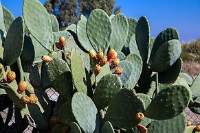 House of Paradise in front of the golf court-sea