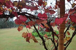 Woolshed Hill Estate