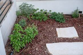 Dov Garden apartment with private pool