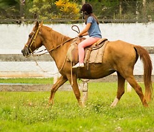Hotel Fazenda 7 Belo