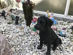 3 Bedroom Home With Private Screened Pool With Rock Waterfall Feature 