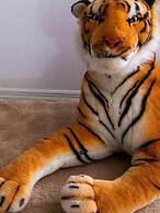 3 Bedroom Home With Private Screened Pool With Rock Waterfall Feature 