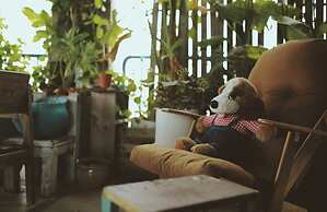 La Maison Des Delices