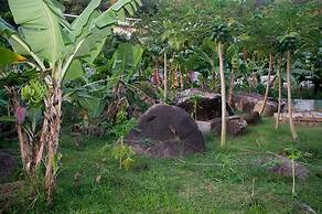 Evergreen Apartments