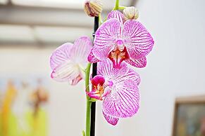 Bright Chic Garden Apartment