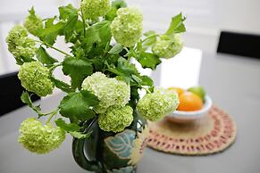 Quiet Historic Mews- Hyde Park