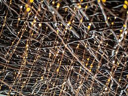 The Peregrine Omaha Downtown, Curio Collection by Hilton