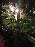 Phi Hung's Unique homestay