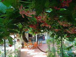 Phi Hung's Unique homestay