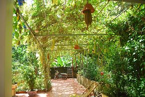 Phi Hung's Unique homestay