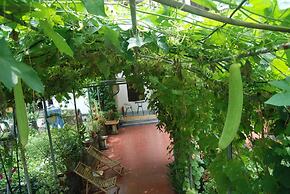 Phi Hung's Unique homestay