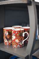 Glorious 2 Bedroom Apartment