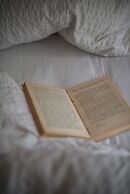 Glorious 2 Bedroom Apartment