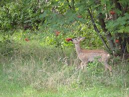 Ferienwohnung im Wald mit Kamin