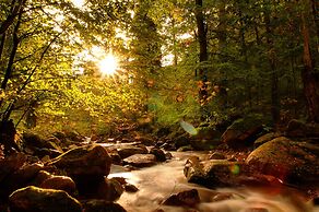Ferienwohnung im Wald mit Kamin