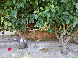 The Rose Garden Villa