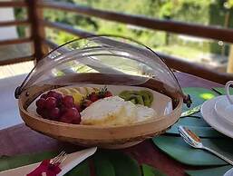 Casa Rabanete Trancoso