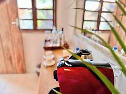 Casa Rabanete Trancoso