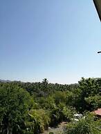 El Cihualteco Hotel Restaurante Bar