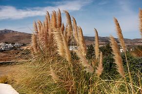 Ventu Paros Villa