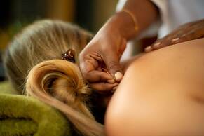 Haritha Villas & Spa