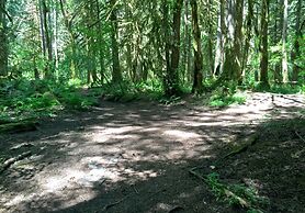 29SL - Hot Tub - Sauna - BBQ - Shuffle Board - Sleeps 11