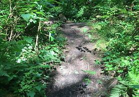 29SL - Hot Tub - Sauna - BBQ - Shuffle Board - Sleeps 11