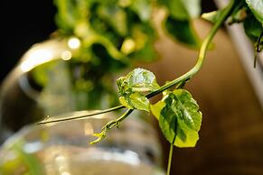 Marriott Executive Apartments Johannesburg, Melrose Arch