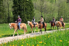 Ferienwohnungen am Buchbrunnen