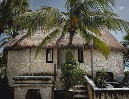 Nest Tulum