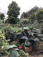 Birdsong Cottage B&B